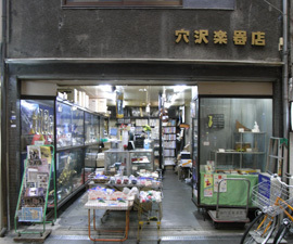 穴沢楽器店