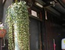 きもの染め替え　石橋