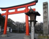 平野神社の写真２枚目