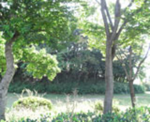 天皇の社古墳の写真