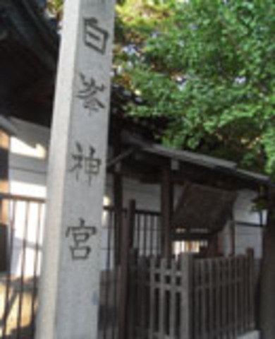 白峯神社の写真