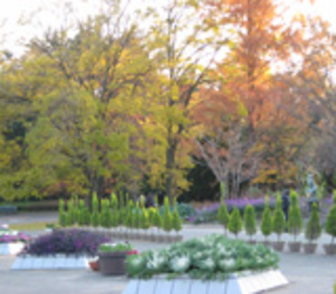 京都府立植物園の写真