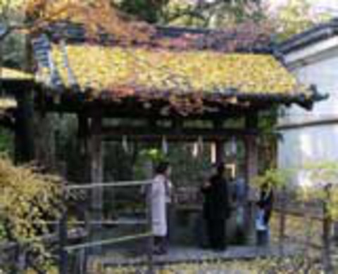 梨木神社の写真